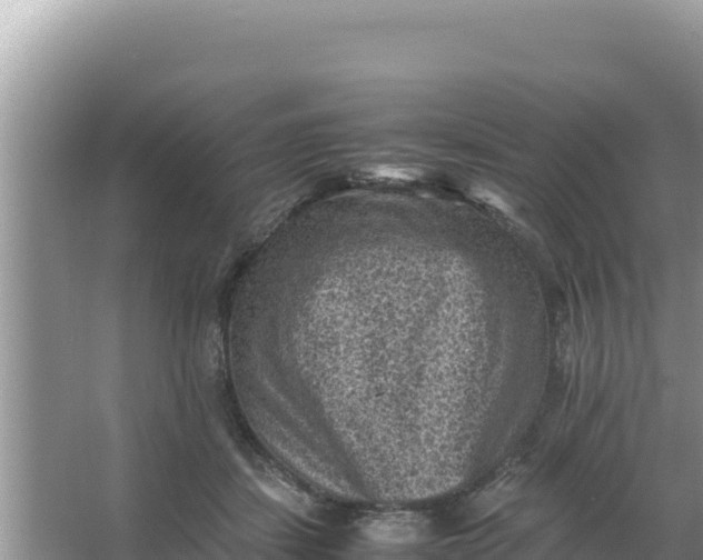 X0000066960459200604072009