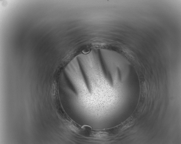 X0000066960463200604072009