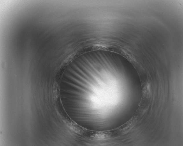 X0000066960464200604072009