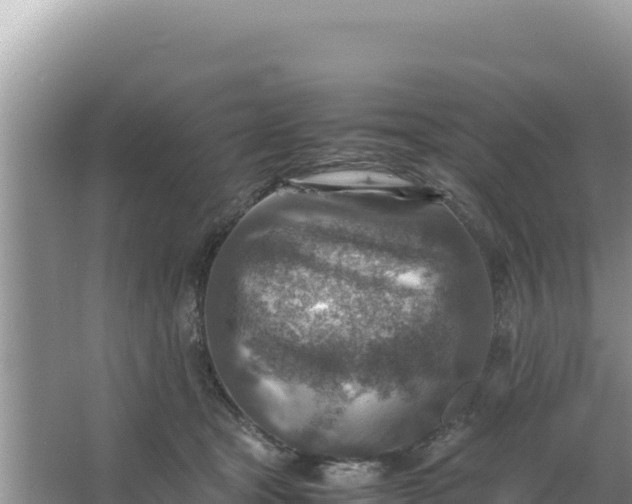 X0000066960465200604072009