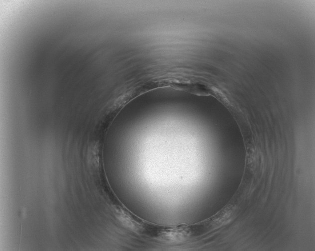 X0000066960466200604072009