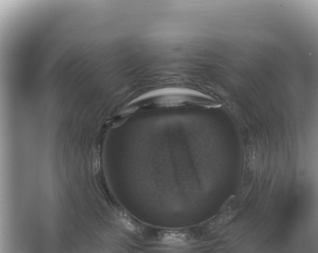 X0000066960471200604072009