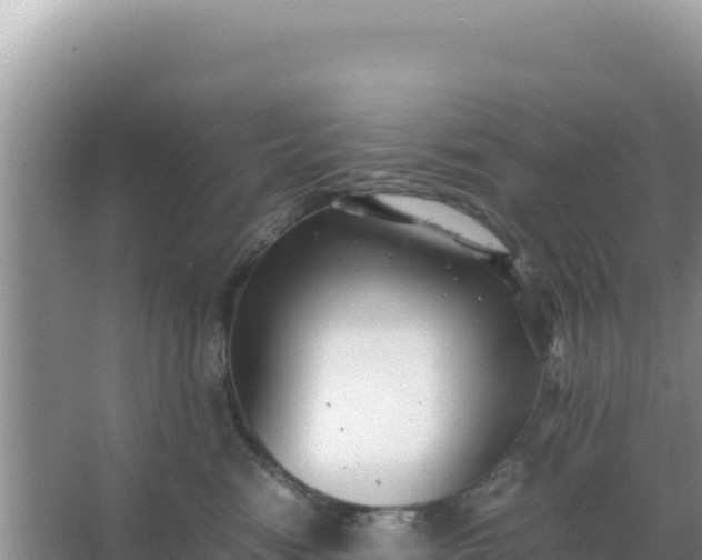 X0000066960474200604072009