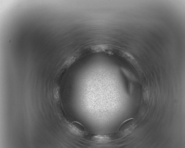 X0000066960477200604072009