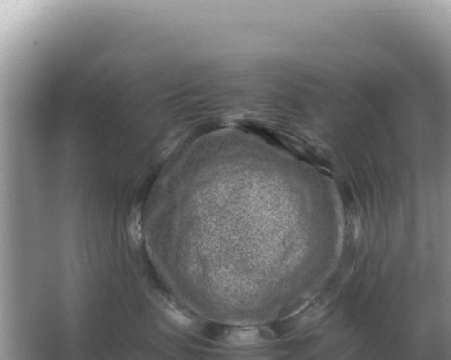 X0000066960479200604072009