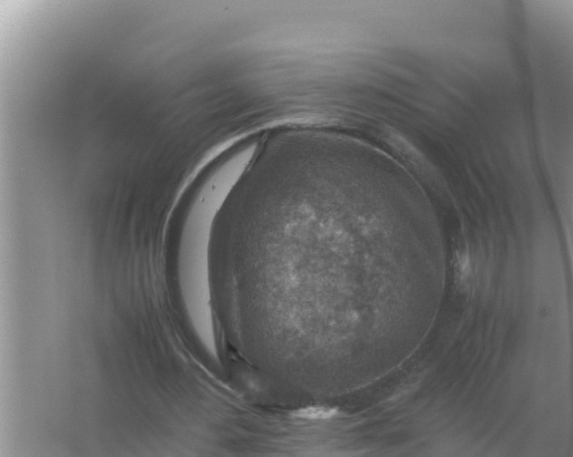 X0000066960484200604072008