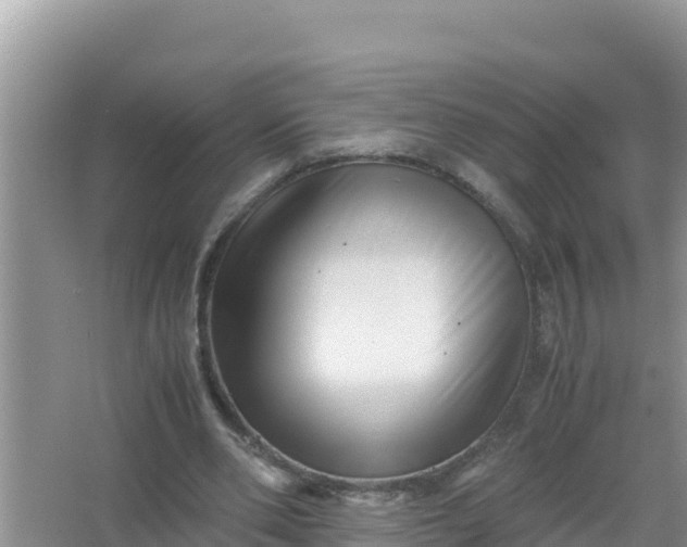 X0000066960486200604072008