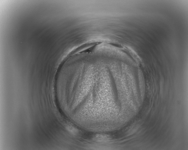 X0000066960487200604072008