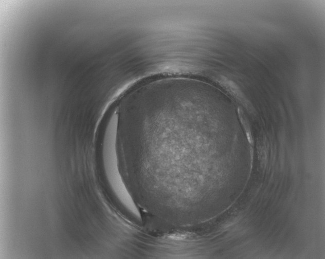 X0000066960488200604072008