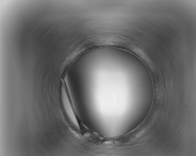 X0000066960489200604072008