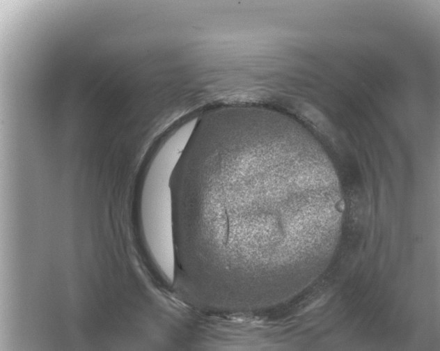 X0000066960491200604072008