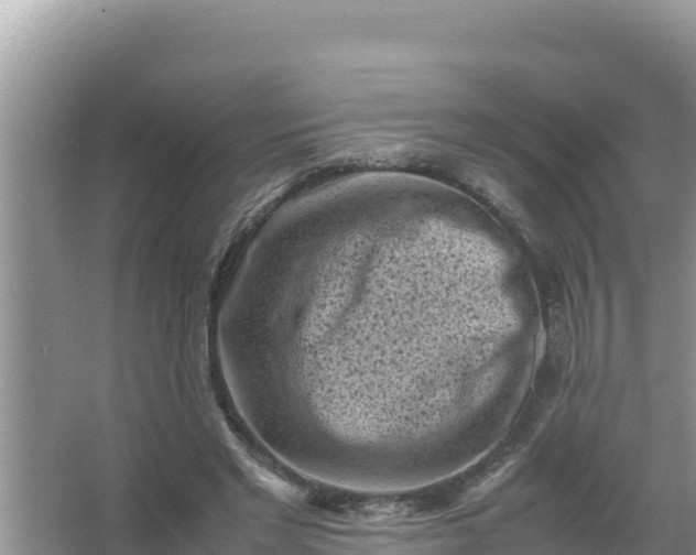 X0000066960493200604072008