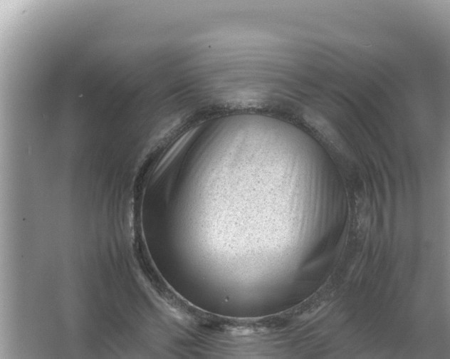 X0000066960494200604072008