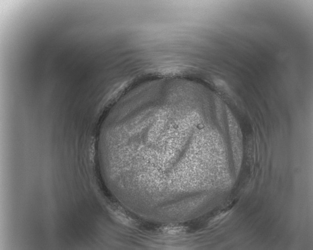 X0000066960495200604072008