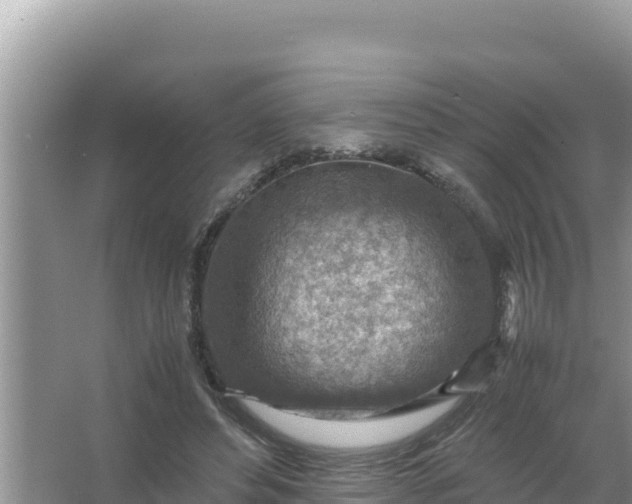 X0000066960496200604072008