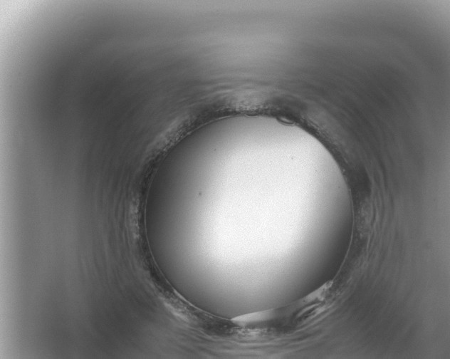 X0000066960497200604072008