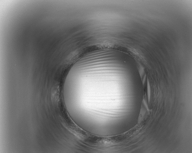 X0000066960498200604072008