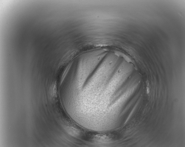 X0000066960502200604072008