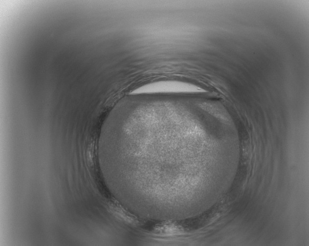 X0000066960503200604072008