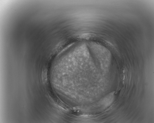 X0000066960504200604072008