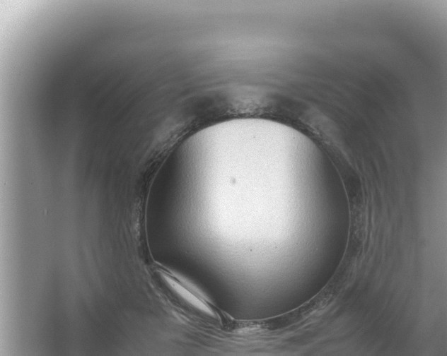 X0000066960505200604072008