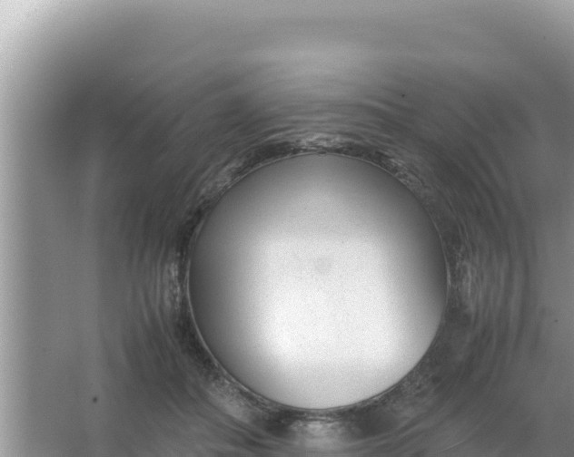 X0000066960506200604072008