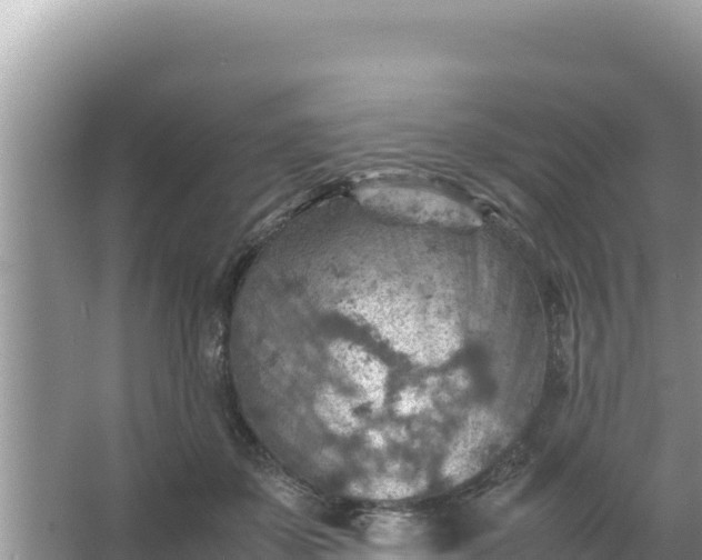 X0000066960507200604072008