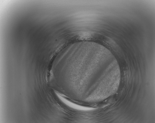 X0000066960508200604072008