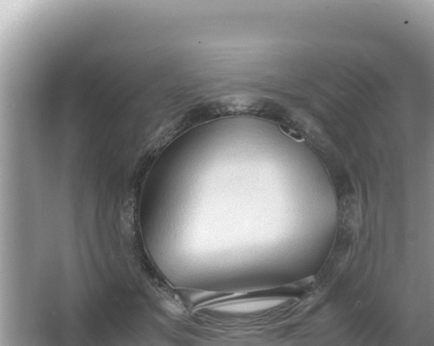 X0000066960509200604072008