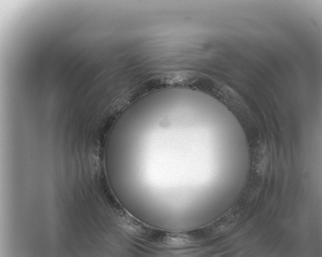 X0000066960510200604072008