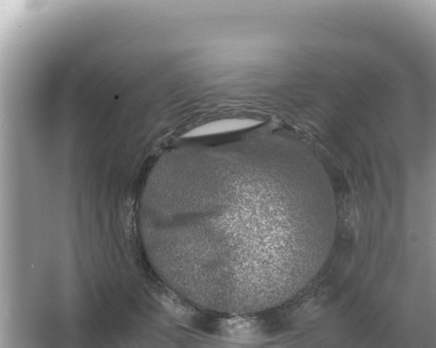 X0000066960511200604072008