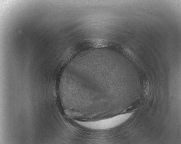 X0000066960512200604072008