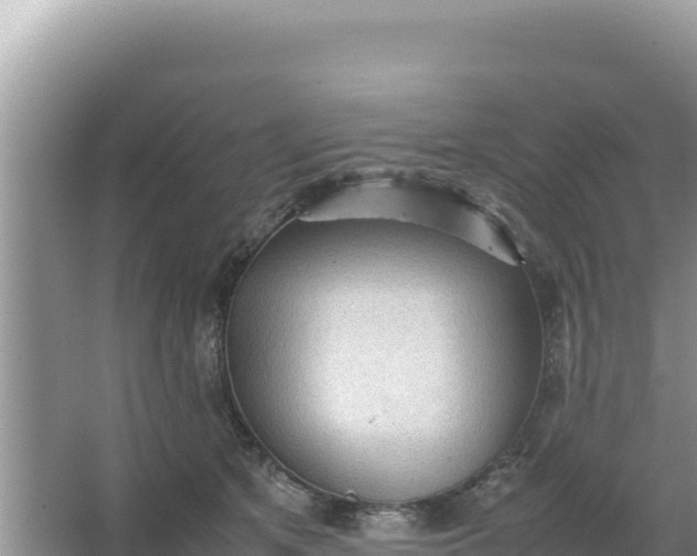 X0000066960513200604072008