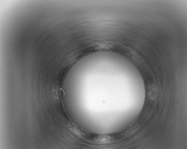 X0000066960514200604072008