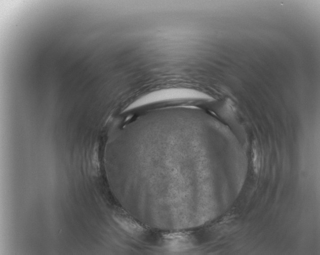 X0000066960516200604072008