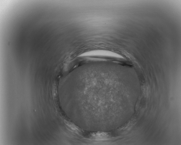 X0000066960517200604072008