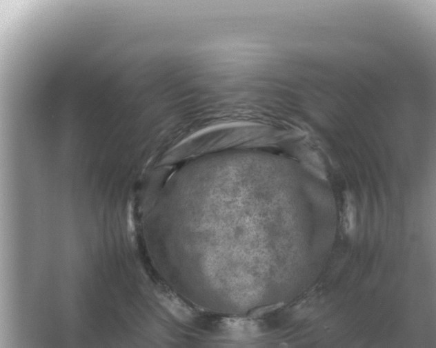 X0000066960520200604072008