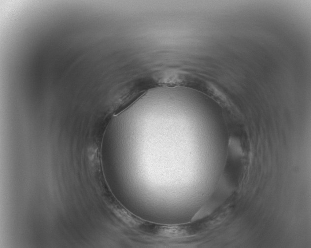 X0000066960521200604072008