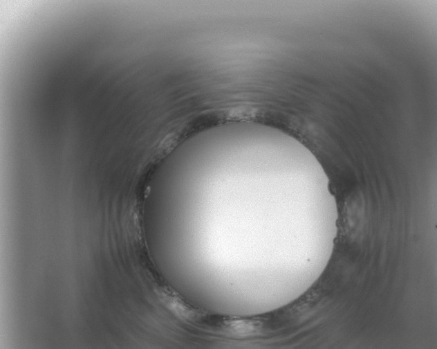 X0000066960522200604072008