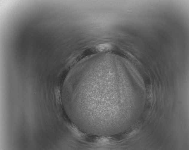 X0000066960523200604072008