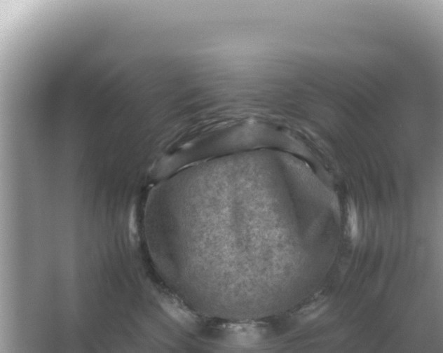 X0000066960524200604072007