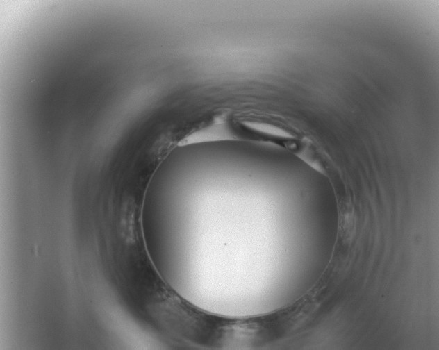 X0000066960525200604072007