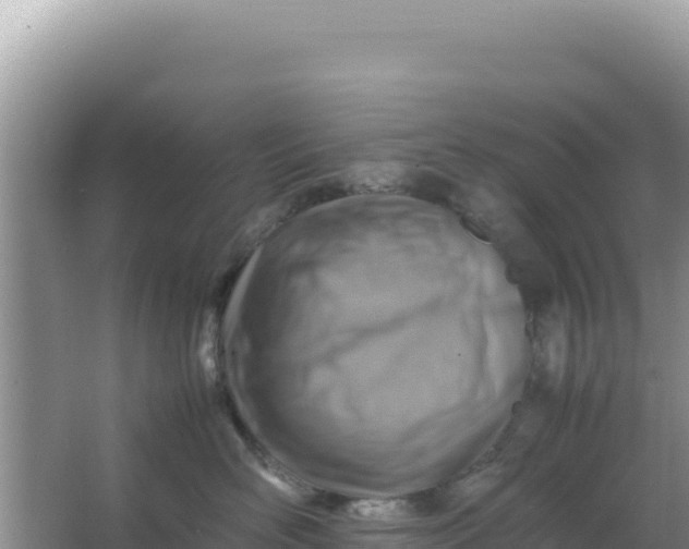 X0000066960526200604072007