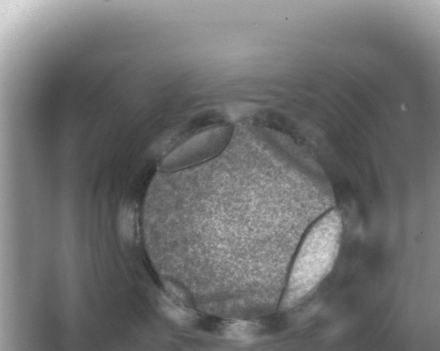 X0000066960527200604072007