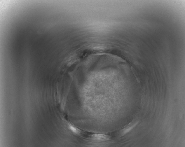 X0000066960528200604072007