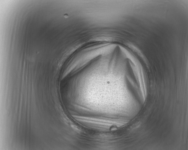 X0000066960529200604072007