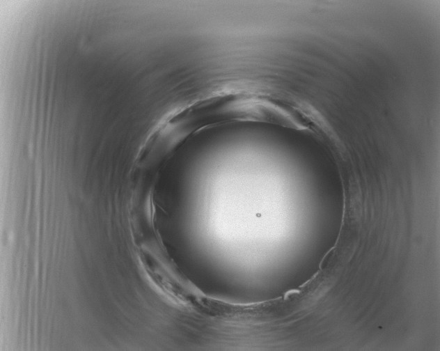 X0000066960530200604072007