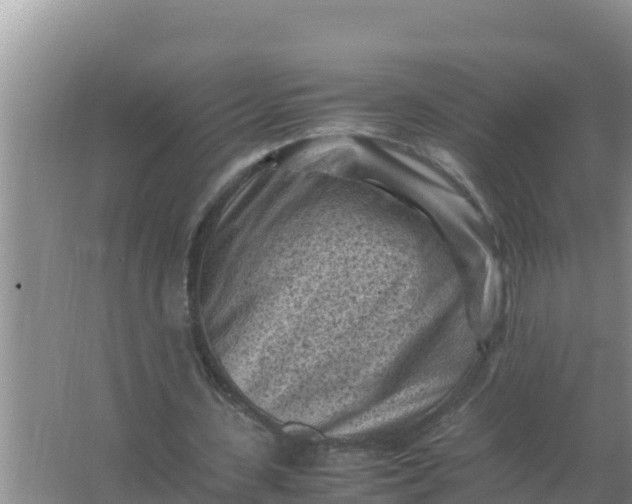 X0000066960531200604072007