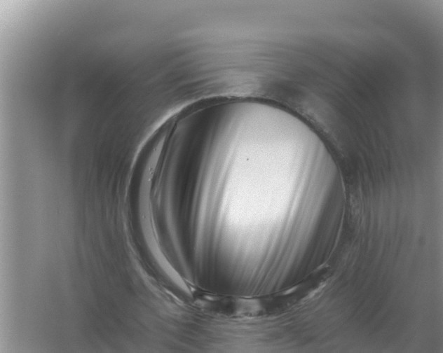 X0000066960532200604072007