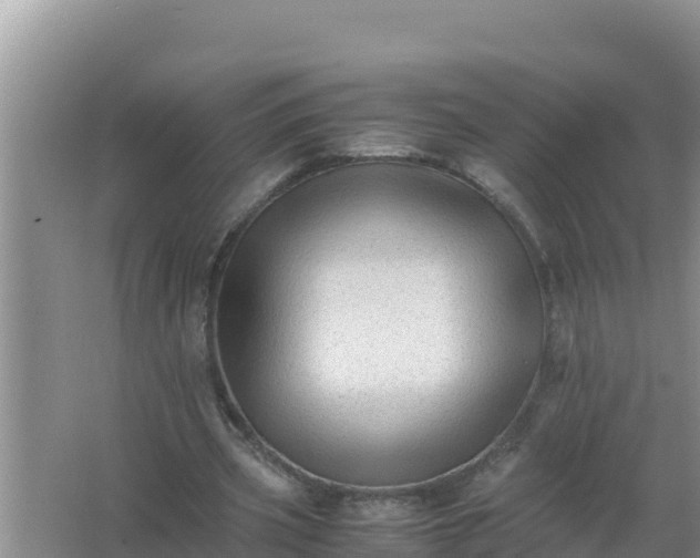 X0000066960533200604072007